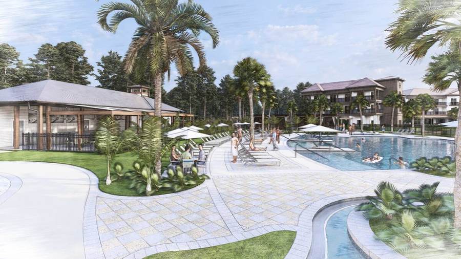 Rendering of the pool and planting under palms